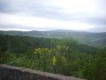 Trieste (6)